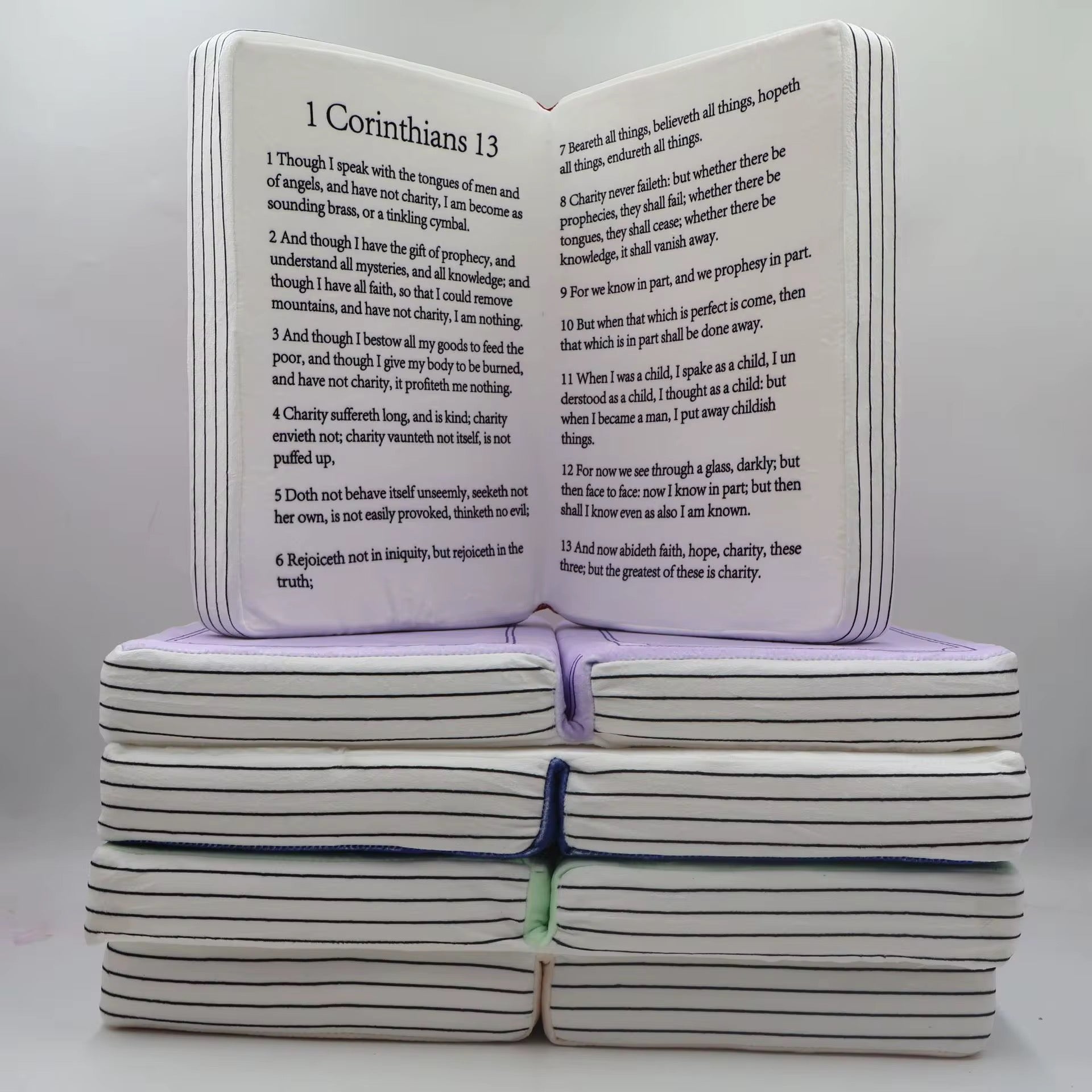 Bible Pillow